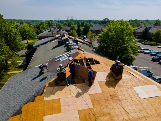 Best Metal Roofing Contractor  in Harrisville, PA